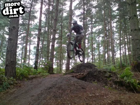 Kinver Freeride Park