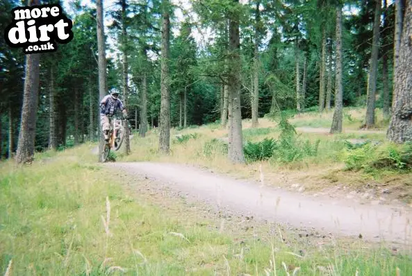 Freeride Park - Glentress