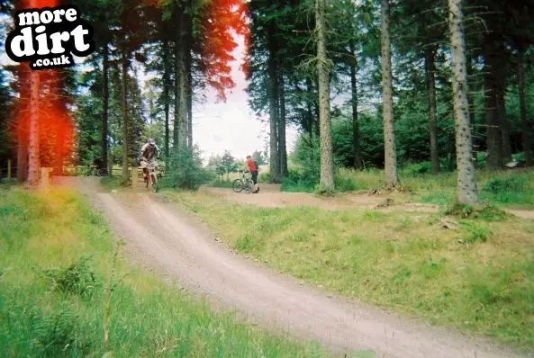 Freeride Park - Glentress