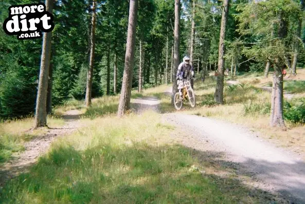 Freeride Park - Glentress