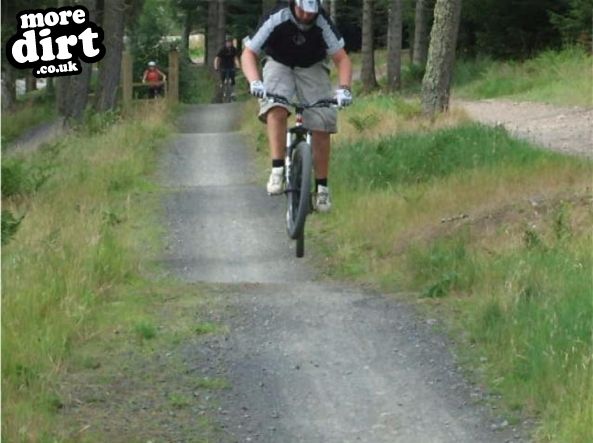 Freeride Park - Glentress