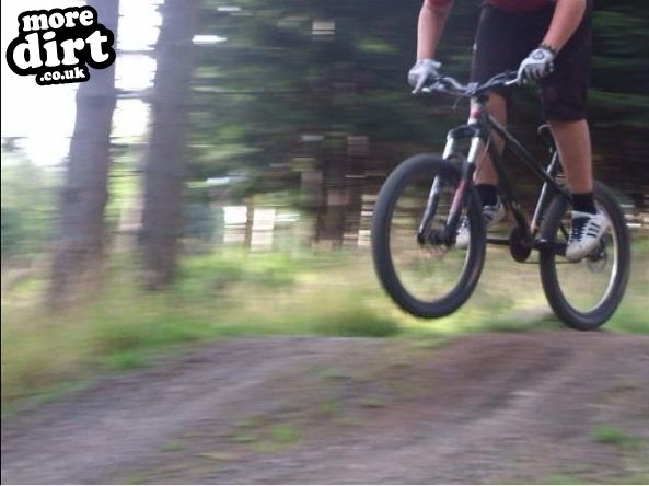 Freeride Park - Glentress