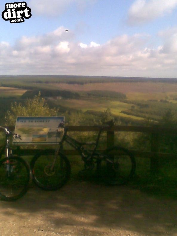 Dalby Forest Red Trail