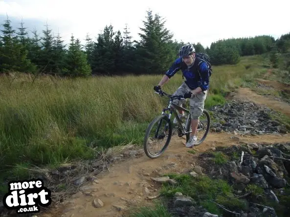 Gisburn Forest Mountain Bike Trails