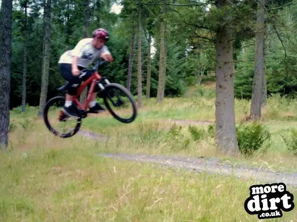 Freeride Park - Glentress