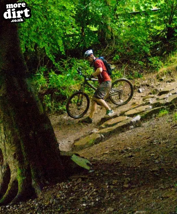 Y Mynydd Downhill - Cwmcarn