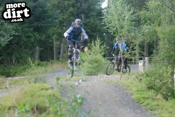 Freeride Park - Glentress