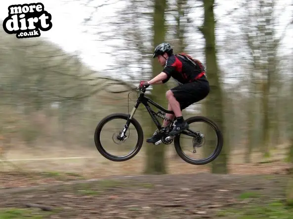 Queen Elizabeth Country Park Mountain Bike Trails