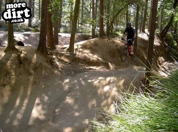 Swinley Forest Mountain Bike Centre