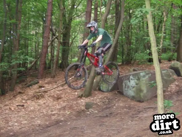 Wharncliffe Woods - DH Trails