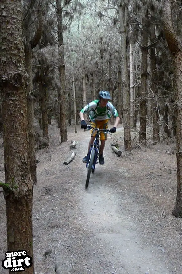 Beater Trail - Thetford Forest