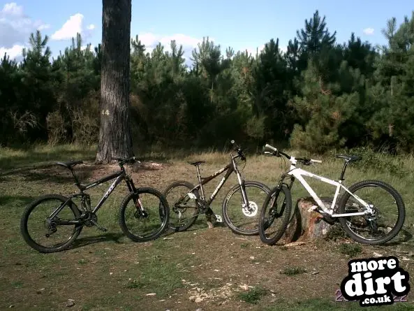 Lime Burner Trail - Thetford Forest