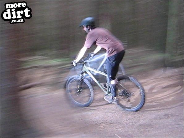 Freeride Park - Glentress