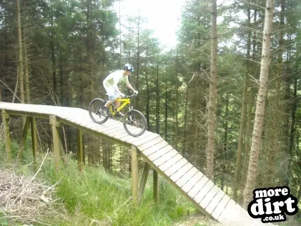 Black Trail - Coed Llandegla Forest