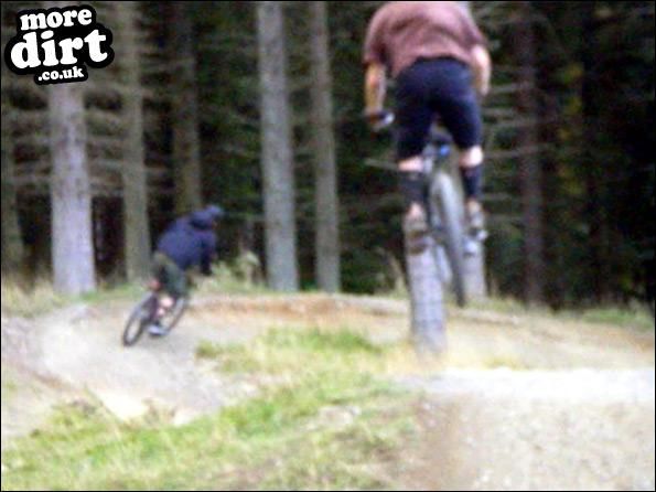 Freeride Park - Glentress