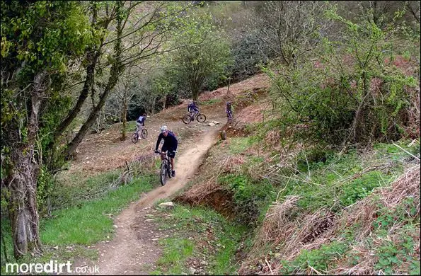 Penhydd Trail -  Afan Forest