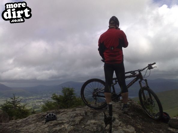 Altura Trail - Whinlatter Forest