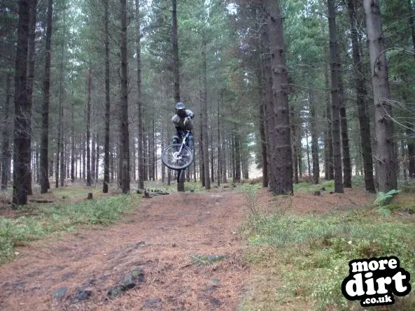 Wharncliffe Woods - DH Trails