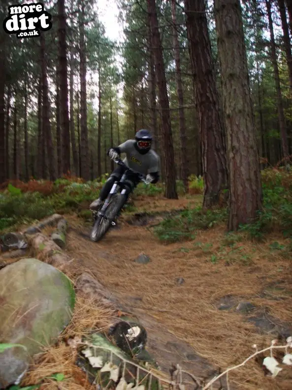 Wharncliffe Woods - DH Trails