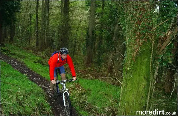 Penhydd Trail -  Afan Forest