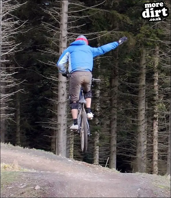 Freeride Park - Glentress