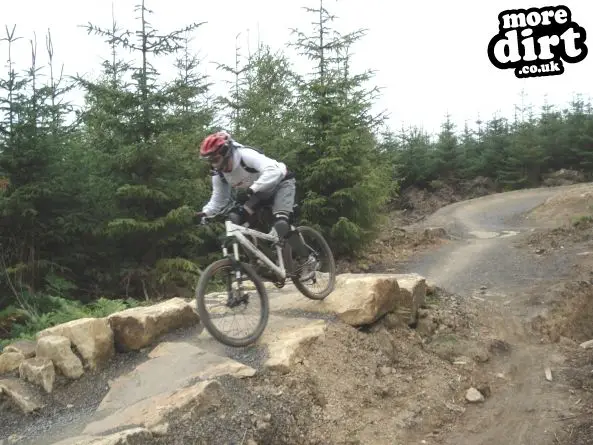 Hamsterley Forest Mountain Bike Trails