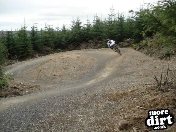 Hamsterley Forest Mountain Bike Trails