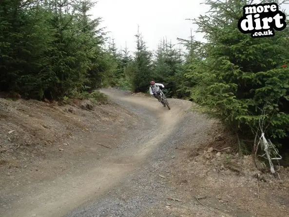 Hamsterley Forest Mountain Bike Trails