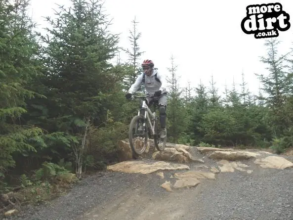 Hamsterley Forest Mountain Bike Trails