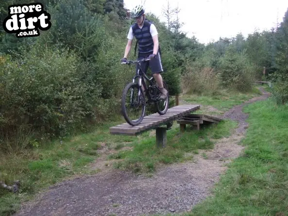 Powerline Trail - Chopwell