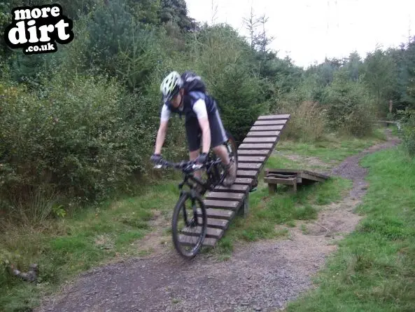 Powerline Trail - Chopwell