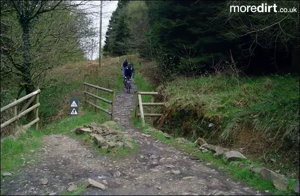 Penhydd Trail -  Afan Forest