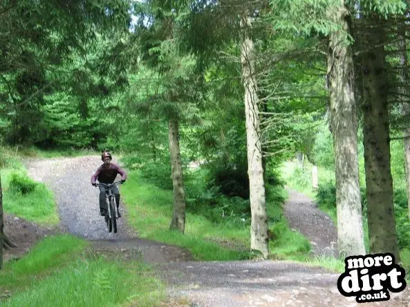 Freeride Park - Glentress