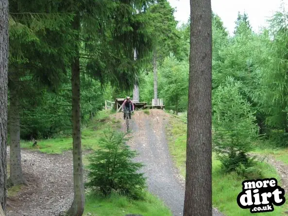 Freeride Park - Glentress