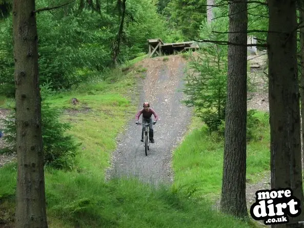 Freeride Park - Glentress