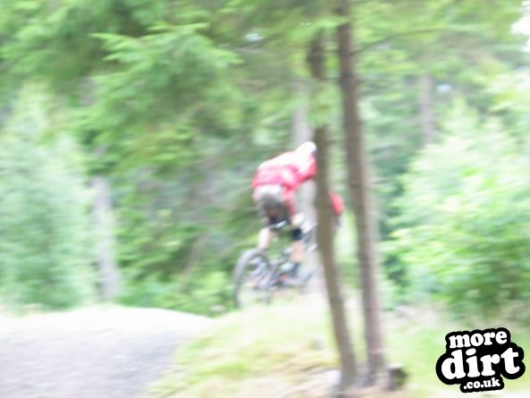 Freeride Park - Glentress