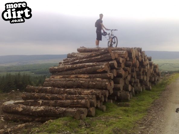 Gisburn Forest Mountain Bike Trails