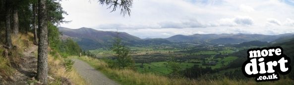 Altura Trail - Whinlatter Forest