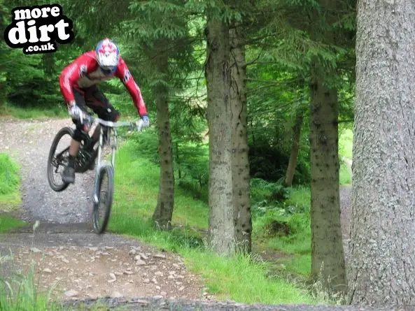 Freeride Park - Glentress