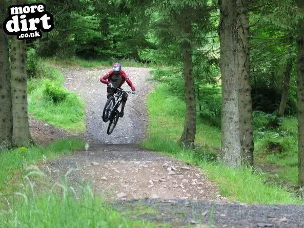 Freeride Park - Glentress