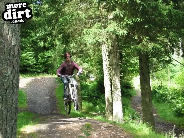 Freeride Park - Glentress