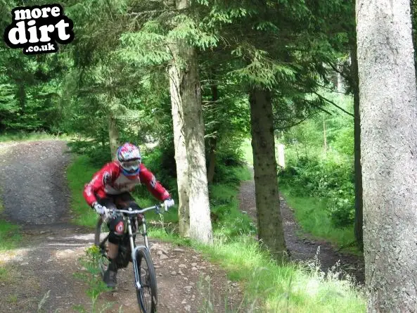 Freeride Park - Glentress