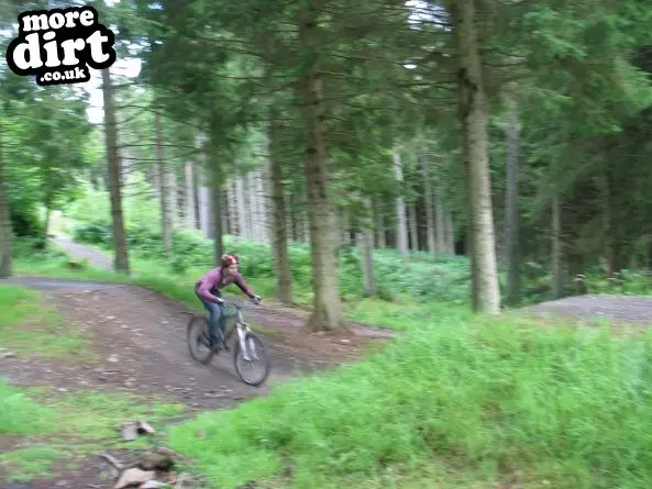 Freeride Park - Glentress