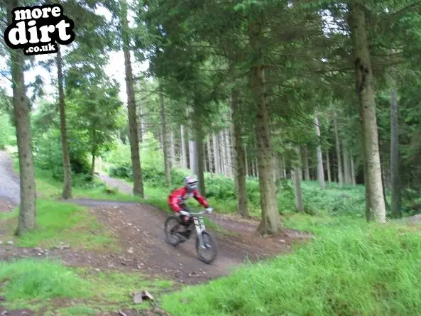 Freeride Park - Glentress