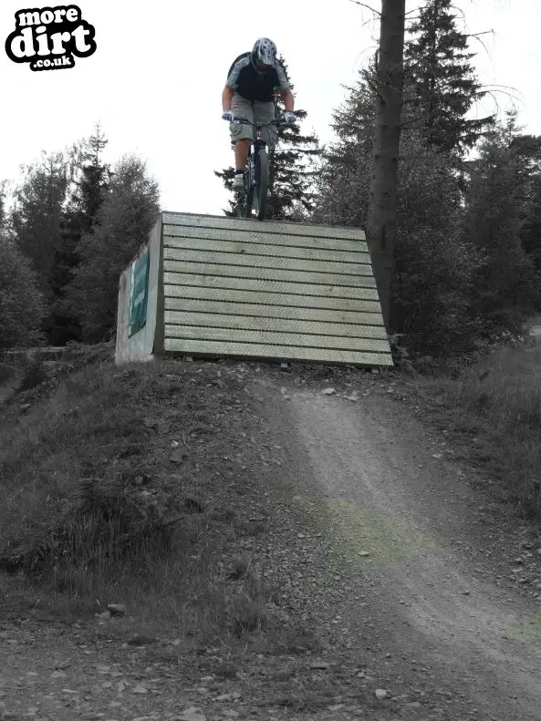 Freeride Park - Glentress