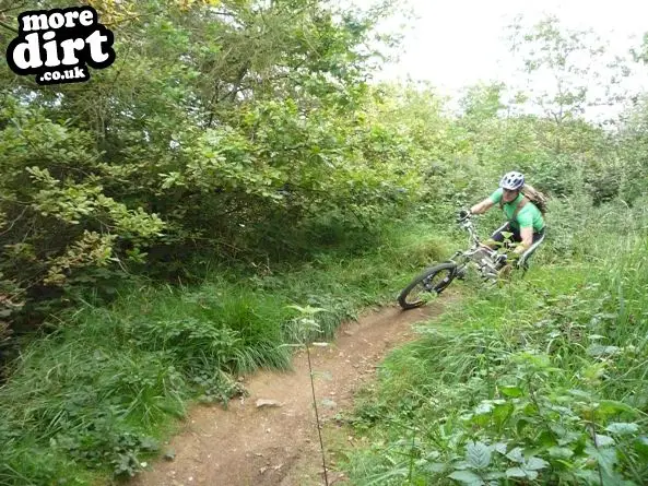 leckhampton hill mtb