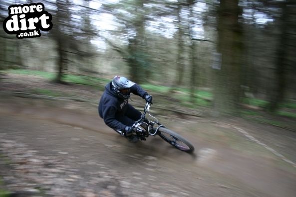 Ribbesford Bike Park