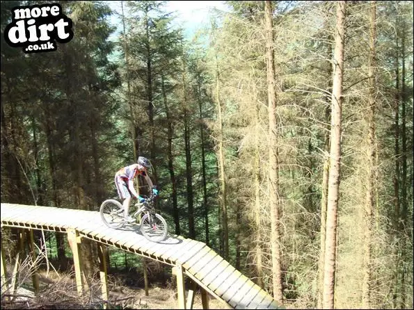 Black Trail Coed Llandegla Forest Mountain Bike Photo 2577