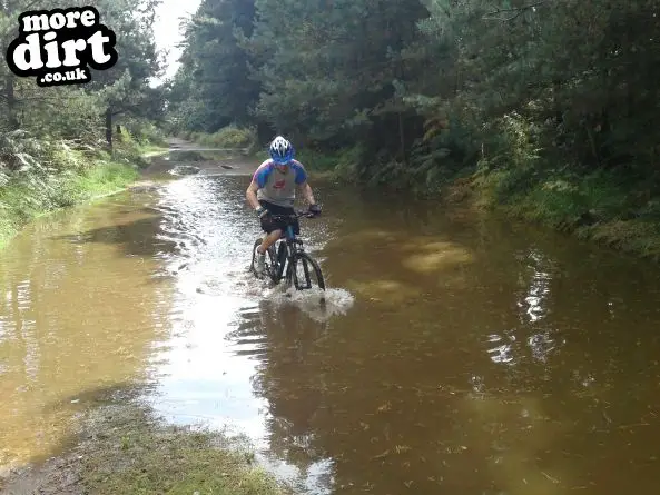 Swinley Forest Mountain Bike Centre