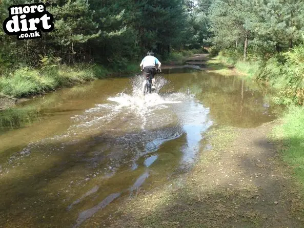 Swinley Forest Mountain Bike Centre